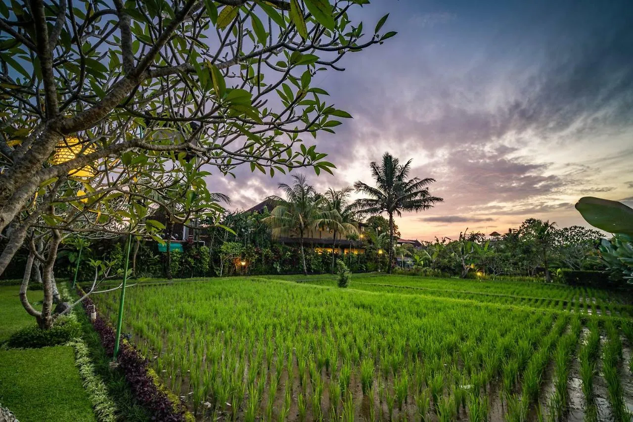 Hotel Bliss Ubud Spa Resort